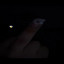 Reach out