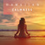 Hawaiian Calmness (Peaceful Guitar and Ukulele, Calm Ocean Sounds for Meditation) cover