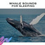 Whale Sounds for Sleeping cover