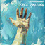 Free Falling cover