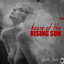 House Of The Rising Sun cover