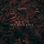 Tonie Versfeld - DJ Tonie Versfeld promo