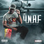 No Limit cover