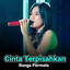 Cinta Terpisahkan cover