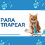 Para trapear cover
