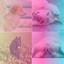 Echoes of Cutest Pups cover