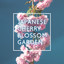 Japanese Cherry Blossom Garden: Asian Flute Music for Yoga, Reiki and Chakra Cleansing cover