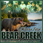 Lizzie No - Bear Creek