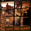 What You Want cover