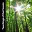 Teachings of the Forests cover