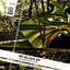 Jon Iler & Hot Plate & Jon Iler & Hot Plate — Quiet Storm cover art