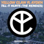Till It Hurts (feat. Ayden) - LNY TNZ Remix