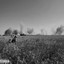 Kherson cover