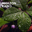 Amazon Rain cover