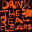 ddwy - Drink The Real Flowers