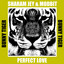 Perfect Love - Extended Mix