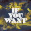 If You Want - Extended Mix
