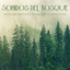 Sonidos Del Bosque: Tranquilos Sonidos Del Bosque Para Tu Sesión De Spa cover