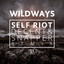 Self Riot - Decent & Snapper Remix artwork