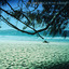 Phil Jamieson - Blue As The Sunlight