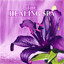 Steve Turre, Russell Malone - September In The Rain