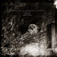 Wolves in the Throne Room - Ghosts Among the Obelisks