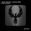 Lose Control - Extended Mix