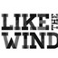 Dj Tg — LIKE THE WIND cover art