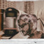 Unknown Title cover