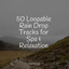 50 Loopable Rain Drop Tracks for Spa & Relaxation cover