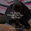 50 Sleepy Melodies for Spa For Dogs cover