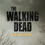 The Walking Dead (Main Title Theme) cover