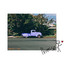 yovng trucker profile