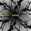 Rise Of The Northstar - Nerv(e)