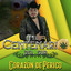 Animas del Rio cover