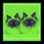 Unknown Title cover