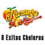 DJ BORRACHITO TAITA SILVERIO - MIX CHICHA 2026 DJ BORRACHITO EN VIVO