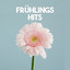 Frühlings Hits cover