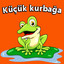 Küçük kurbağa cover