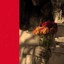 Unknown Title cover