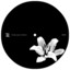 Xhin — Fixing the Error cover art