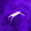 Purple cover