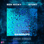 Raindrops - Avao Remix artwork