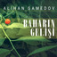 Baharın gelişi cover