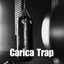 Carica trap cover