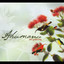 Pua Carnation cover