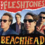Fleshtones - Hit Me