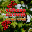 Коломийка про село cover