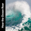 Hear the Ocean Roar cover