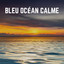 Bleu Océan Calme cover